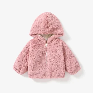 Roza teddy jaknica